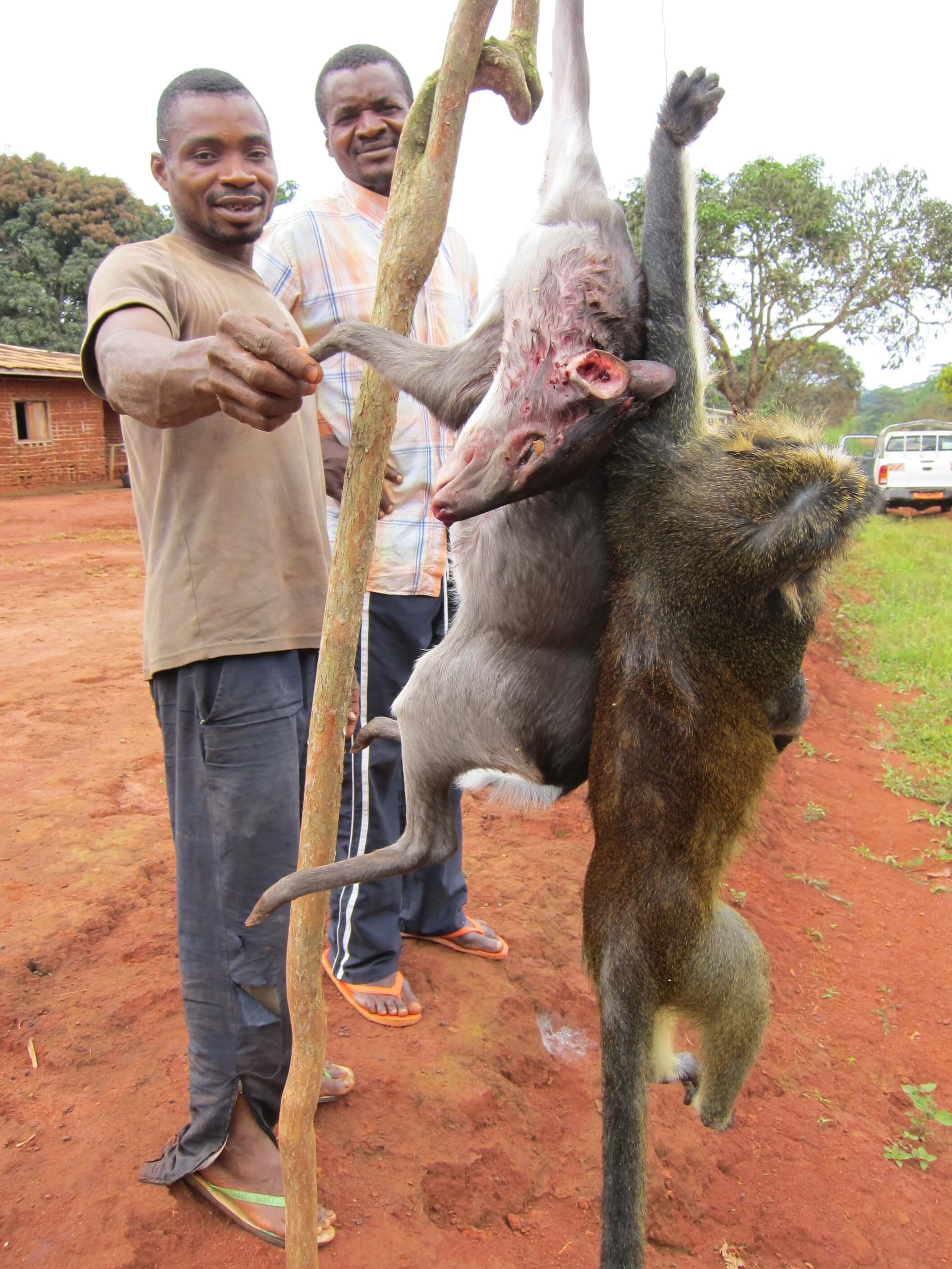 Lutte contre la chasse illégale dans la Réserve du DJA